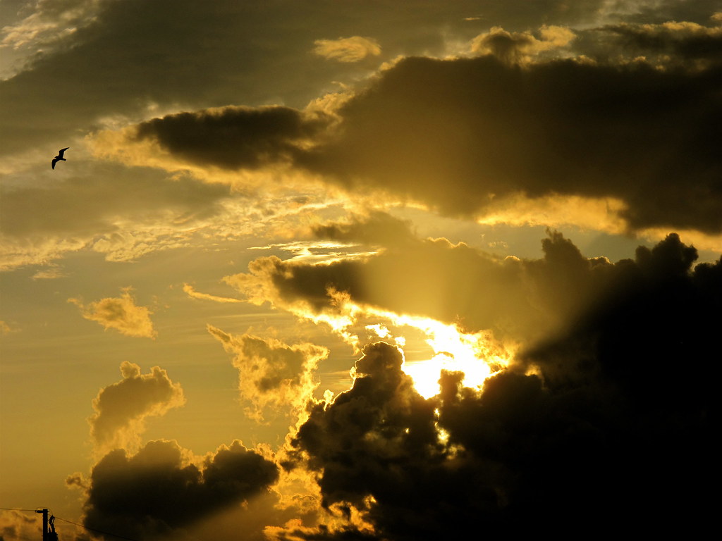 5 Easy Morning Witchy Rituals to Start Your Day with&nbsp;Magick